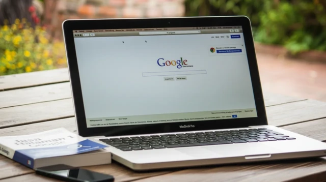 Jasa Halaman 1 Google