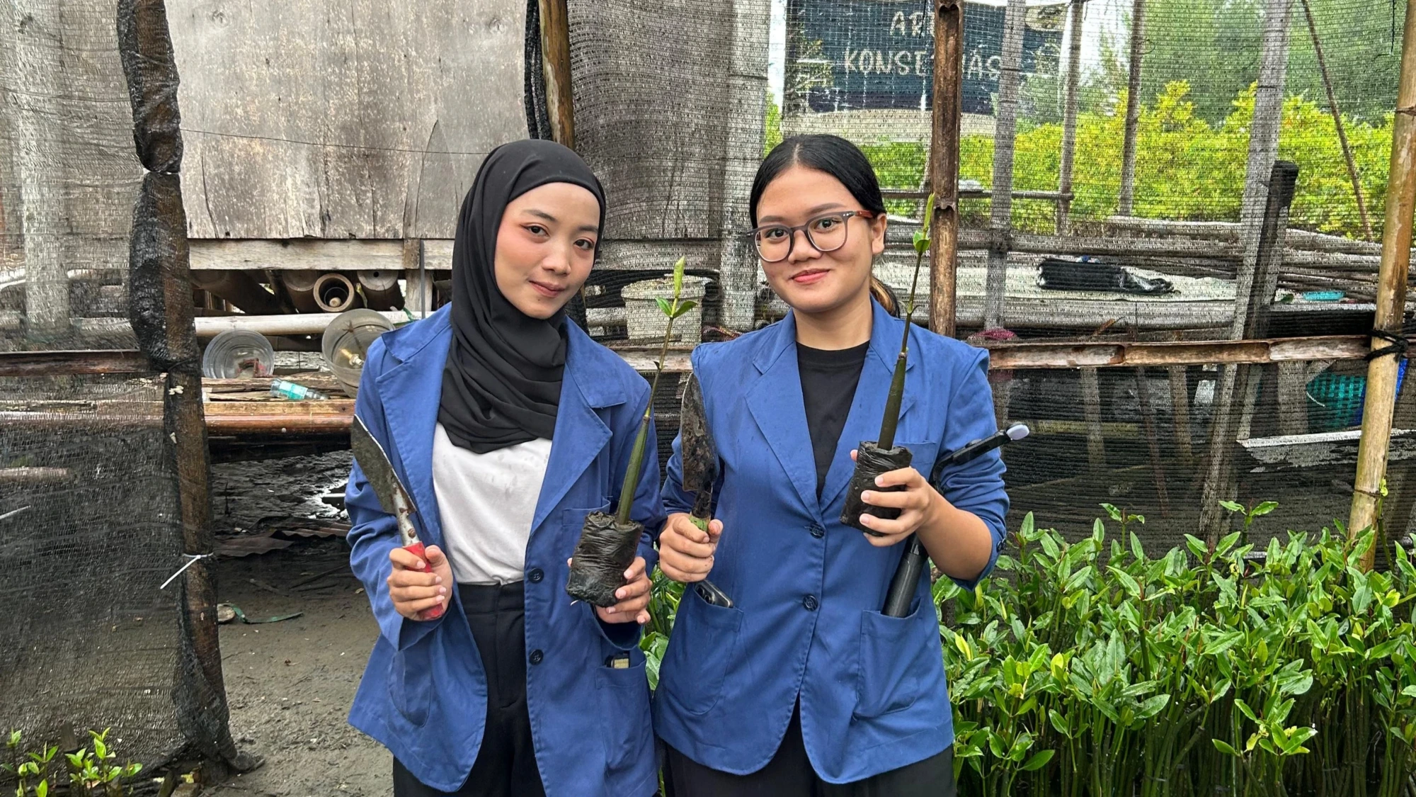 Mahasiswa Ilkom USM Gelar Aksi Tanam Mangrove di Pantai Tirang Semarang