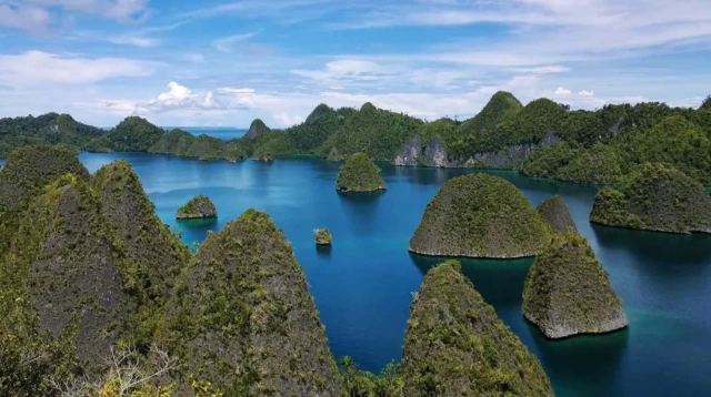 Papua New Guinea