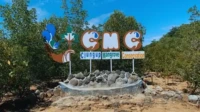 Dampak Positif Mangrove Ecotourism dan Studi Kasus: Clungup Mangrove Conservation (CMC) di Malang Selatan Mangrove Ecotourism