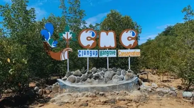 Mangrove Ecotourism