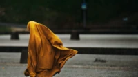 pelecehan seksual dalam islam