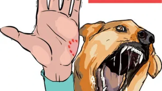 Vaksinasi Rabies pada Hewan Peliharaan
