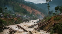Persatuan dalam Derita: Donasi dan Solidaritas sebagai Wujud Nilai Pancasila di Tengah Bencana Sumatera bencana sumatera
