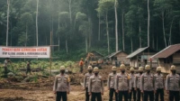 penertiban kawasan hutan