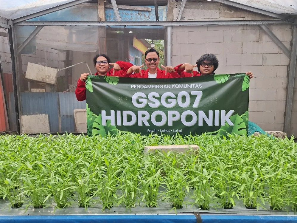 pasar sayur hidroponik