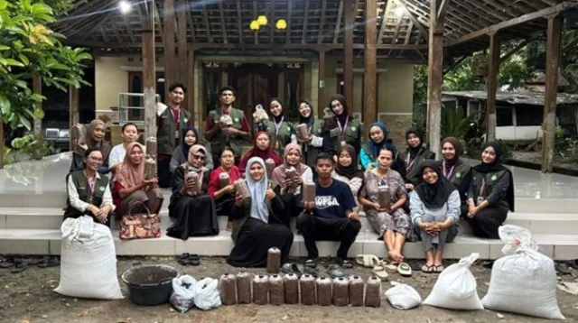 budidaya jamur tiram putih