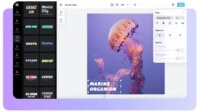 Ubah PNG ke JPG Ubah PNG ke JPG