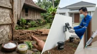 Lindungi Rumah dari Rayap