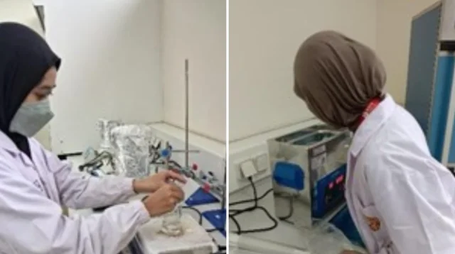 Badan Riset dan Inovasi Nasional (BRIN)