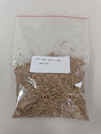 Material Maju Berbasis Biomassa