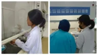 Biomassa Limbah Organik Bisa Jadi Energi Terbarukan? Inilah Inovasi yang Diteliti oleh Mahasiswa Gen Z Biomassa Energi Terbarukan