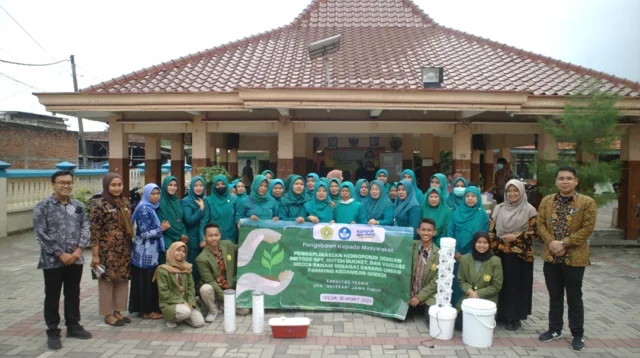 cara menanam hidroponik
