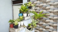 Menanam di lahan sempit