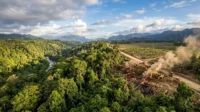 Menimbang Ulang Pembangunan Papua: Antara Ambisi Ekonomi dan Integritas Ekologis pembangunan ekonomi Papua