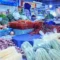kenaikan harga