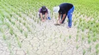 Dampak Perubahan Iklim terhadap Kehidupan Manusia di Tahun 2026 perubahan iklim global