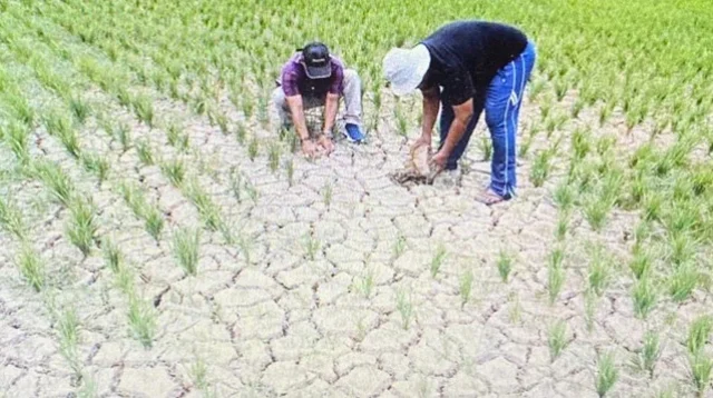 perubahan iklim global