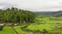Ekowisata berbasis Kearifan Lokal di Desa Wisata Indragiri: Harmoni Alam, Budaya, dan Kehidupan Masyarakat Desa Wisata Indragiri