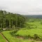 Desa Wisata Indragiri