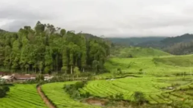 Desa Wisata Indragiri