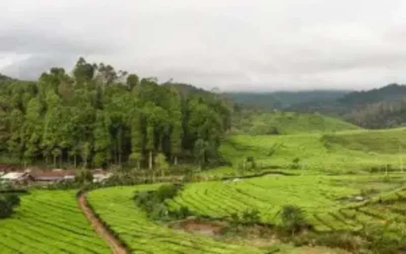Desa Wisata Indragiri