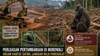 Perluasan Pertambangan Nikel di Morowali Menuai Sorotan, Lantaran Tidak Selaras dengan Nilai-Nilai Kepancasilaan apa itu pertambangan nikel