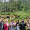 telkom university bandung