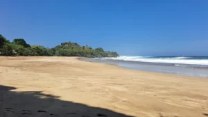 Pantai Ngantep Malang Selatan