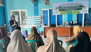 Sistem Hidroponik NFT