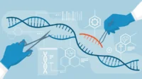 Teknologi "Gunting DNA" Berhasil Koreksi Gen Hemofilia A, Benarkah Bisa Jadi Obat Permanen? Gen Hemofilia A