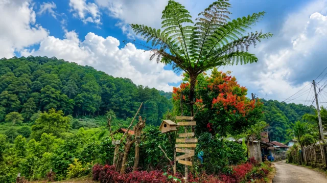 contoh ekowisata