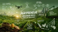 agripreneur-muda-indonesia