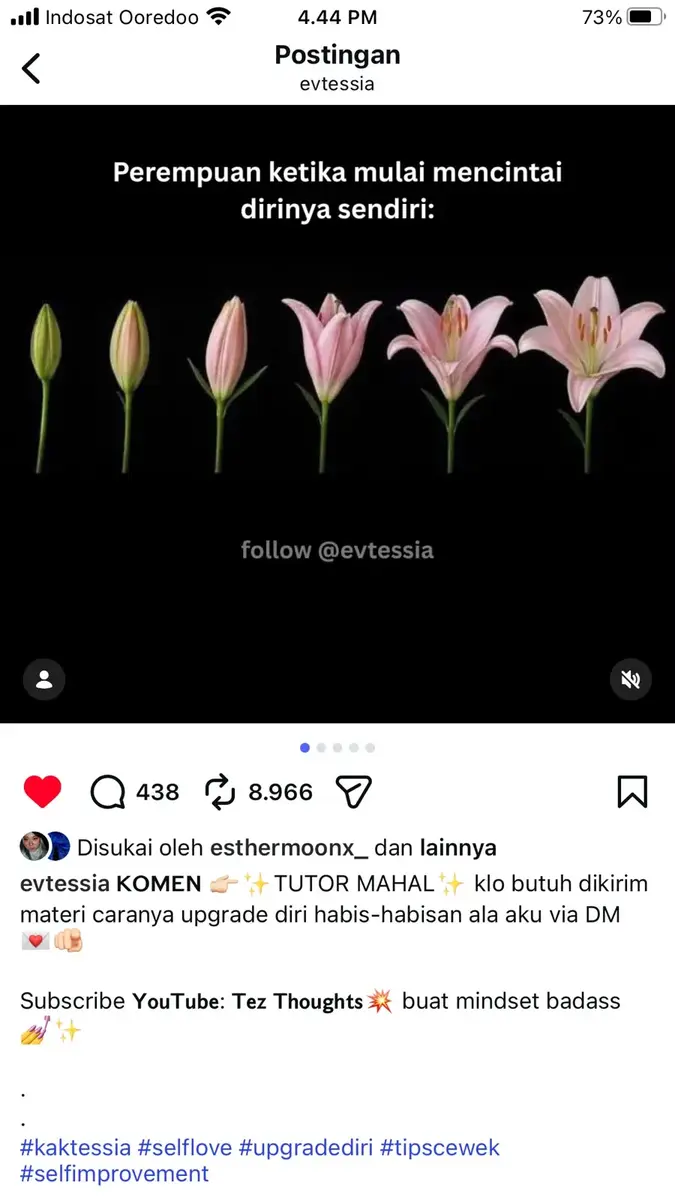 Narasi Feminisme