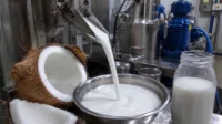teknologi-santan-instan Perkembangan santan instan melalui inovasi teknologi pangan dan pengolahan kelapa