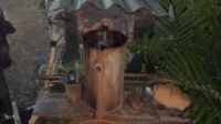 penyulingan minyak nilam penyulingan minyak nilam