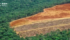Deforestation in Indonesia