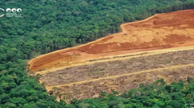 Deforestation in Indonesia