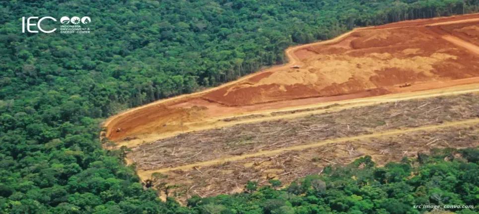 Deforestation in Indonesia