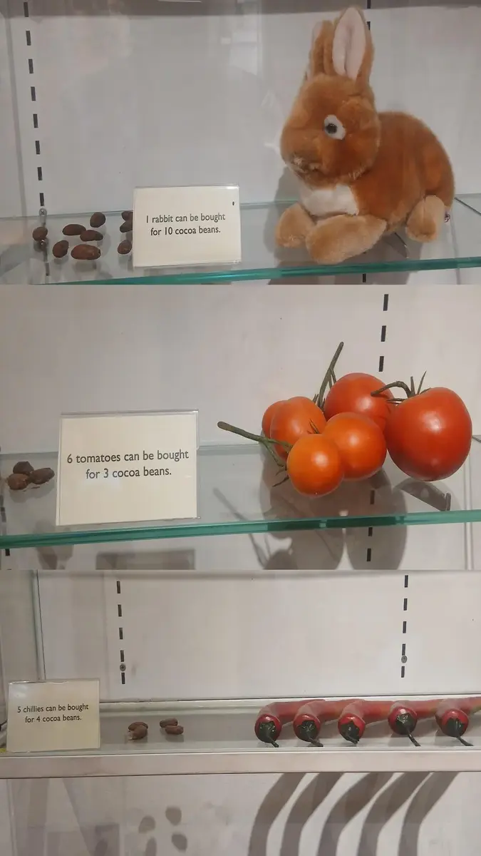 Hilirisasi Kakao