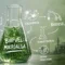 Biofuel mikroalga