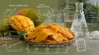 Mengulik Kualitas Mangga Kering Gedong Gincu: Pengaruh Natrium Metabisulfit terhadap Fisik dan Sensori Mangga kering