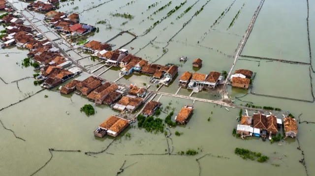 abrasi Sayung