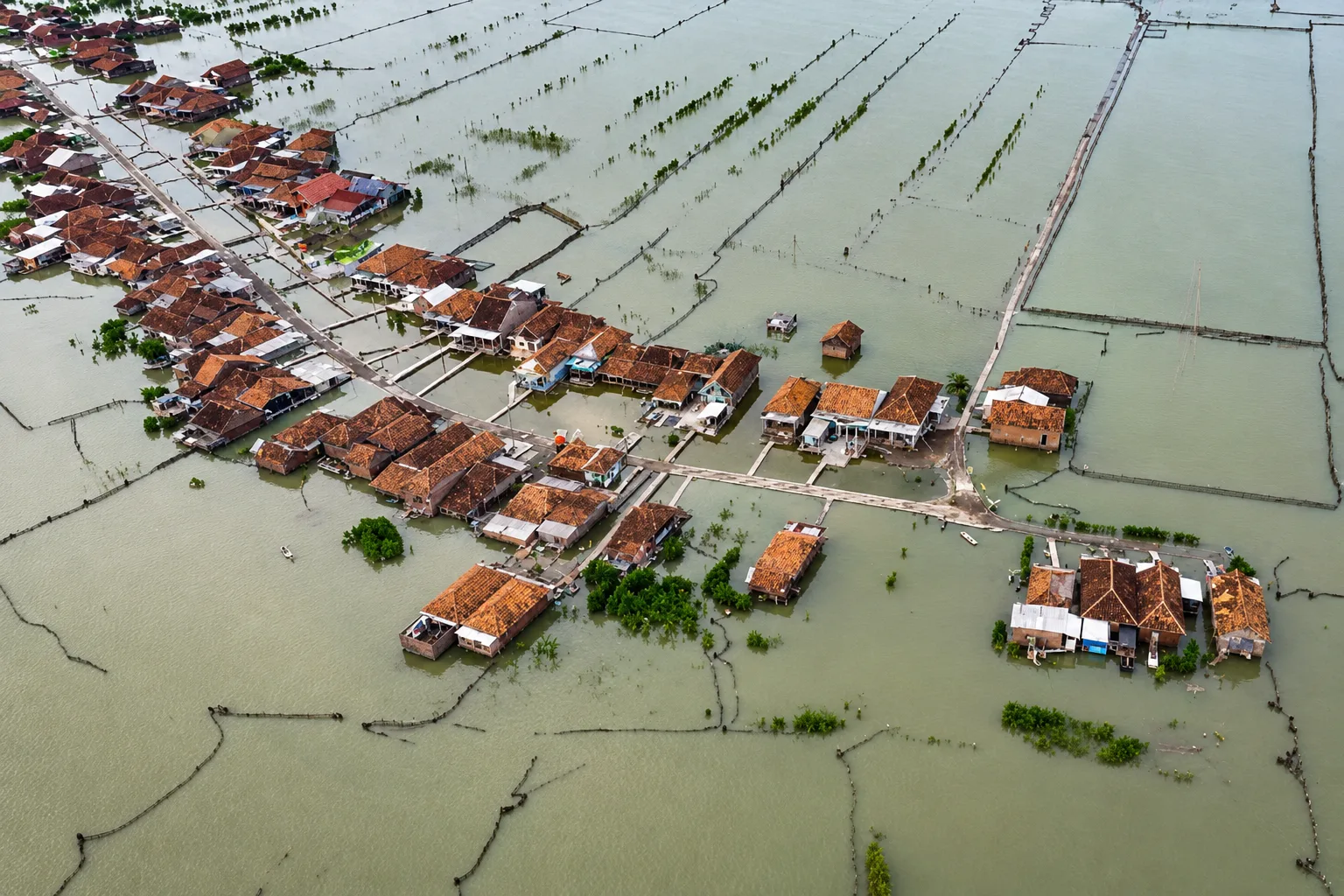 abrasi Sayung