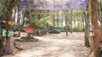 Rojo Camp