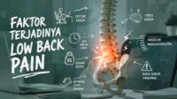 Faktor Terjadinya Low Back Pain Faktor Low Back Pain
