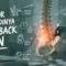 Faktor Low Back Pain