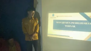 Manajemen Pemeliharaan Ternak