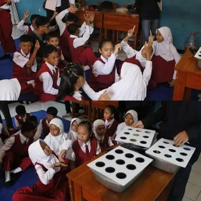 Budidaya Kangkung Hidroponik