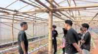 potensi dan tantangan UMKM Arjowilangun